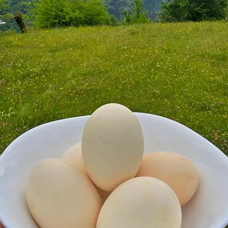 Camping Thethi 360 Grade - & *