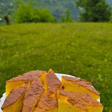 Thethi 360 Grade - & Camping Theth